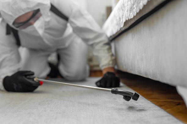 Professional Bed Bug Control technician working in Long Beach, WA